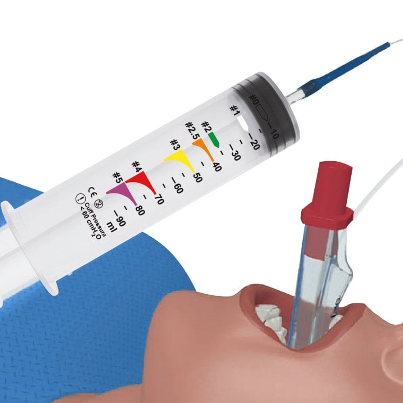 Laryngeal Tube Syringe 100 ml